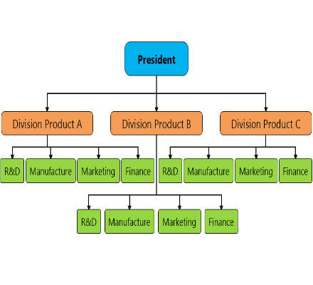 Divisional Organization Chart